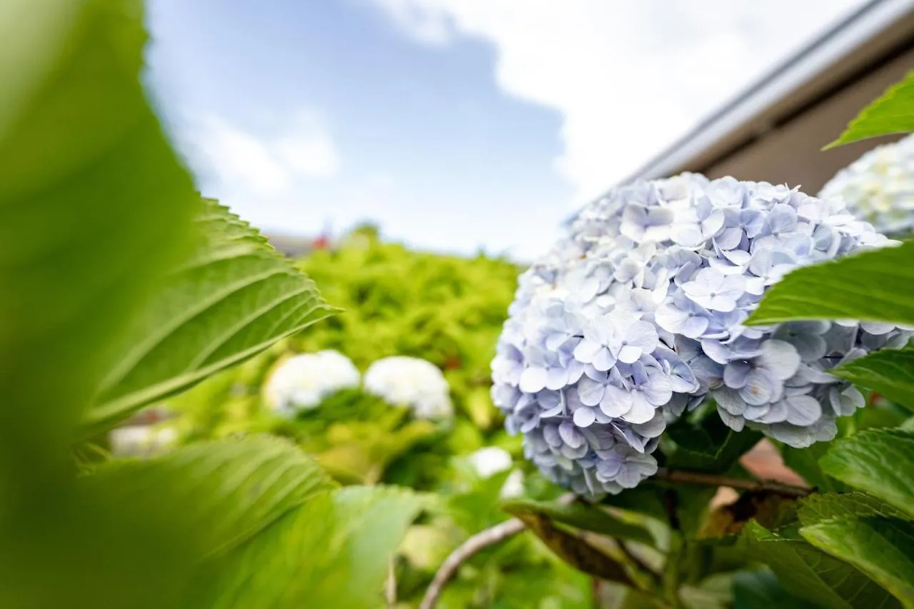 Birds 'N' Bloom Cottages Yungaburra