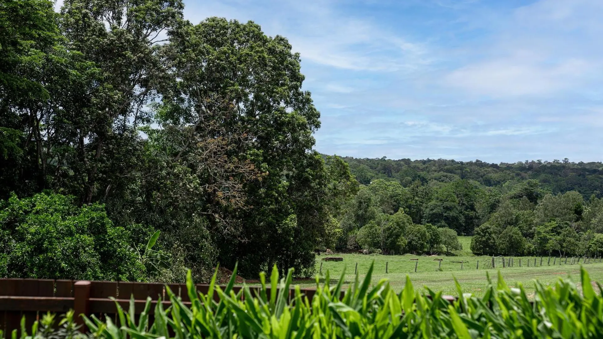 Birds 'N' Bloom Cottages Yungaburra 0*,